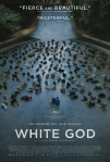 white-god-poster-1